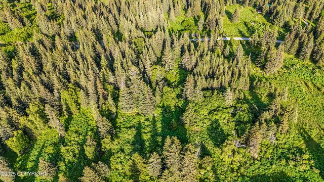 17515 Arcturus Loop, Ninilchik, AK 99639