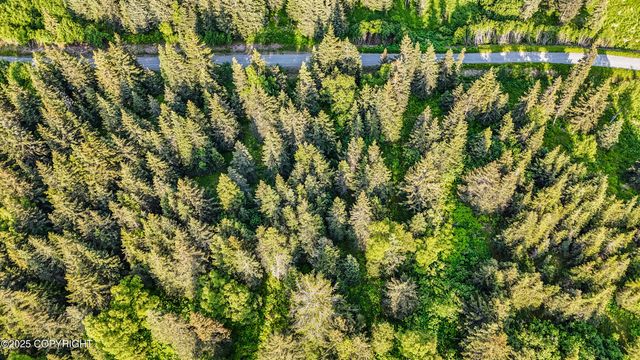 17515 Arcturus Loop, Ninilchik, AK 99639