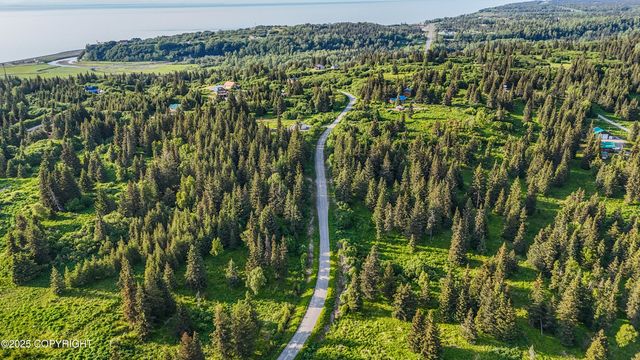 17515 Arcturus Loop, Ninilchik, AK 99639