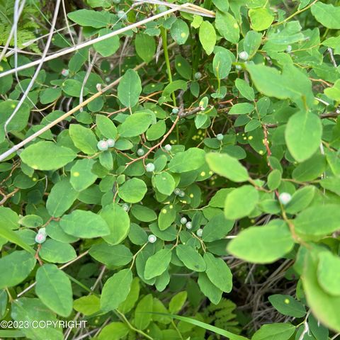 17515 Arcturus Loop, Ninilchik, AK 99639