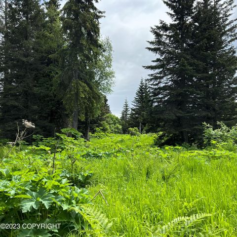 17515 Arcturus Loop, Ninilchik, AK 99639