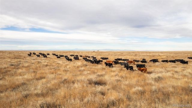 29899 County Road 88, Ault, CO 80610