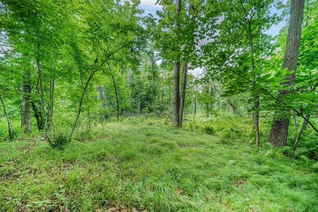 8558 Monterey Dr, Evart, MI 49631