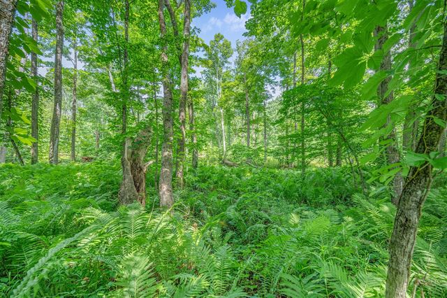 8558 Monterey Dr, Evart, MI 49631