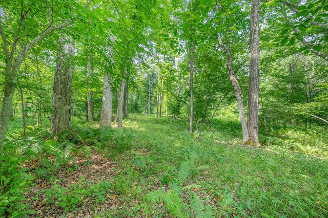 8558 Monterey Dr, Evart, MI 49631