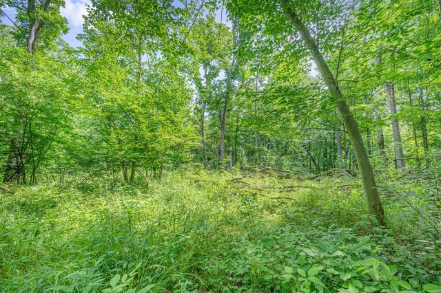 8558 Monterey Dr, Evart, MI 49631