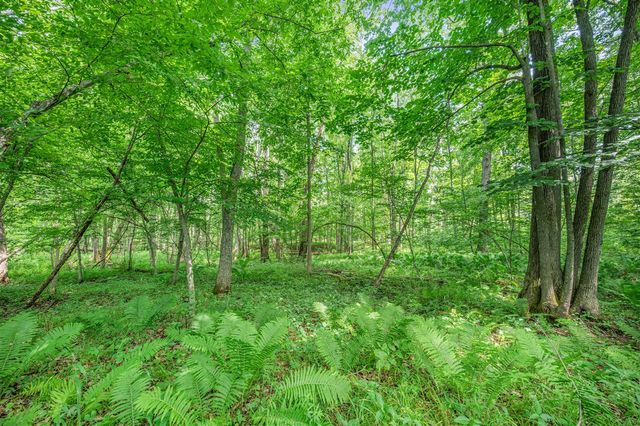 8558 Monterey Dr, Evart, MI 49631