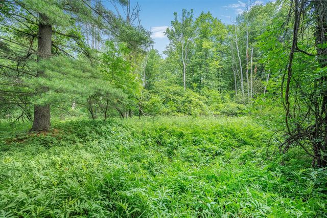 8558 Monterey Dr, Evart, MI 49631