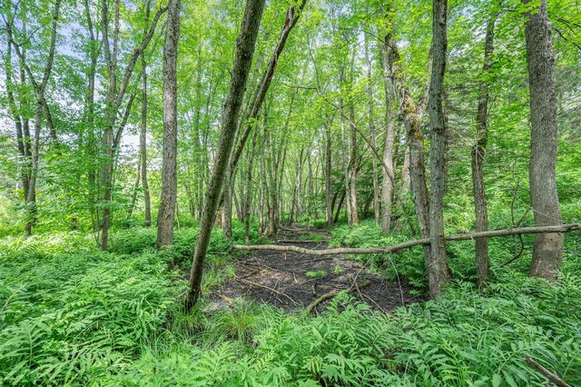 8558 Monterey Dr, Evart, MI 49631