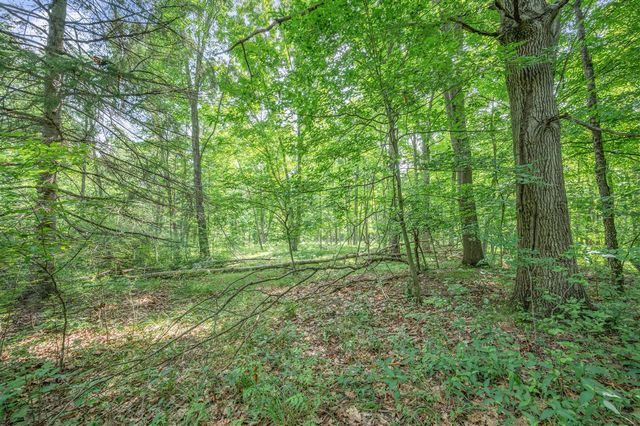 8558 Monterey Dr, Evart, MI 49631