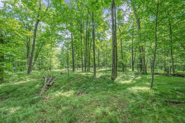 8558 Monterey Dr, Evart, MI 49631