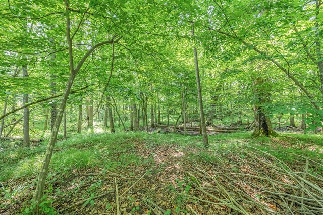 8558 Monterey Dr, Evart, MI 49631