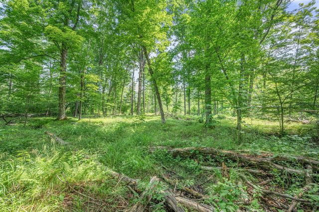 8558 Monterey Dr, Evart, MI 49631