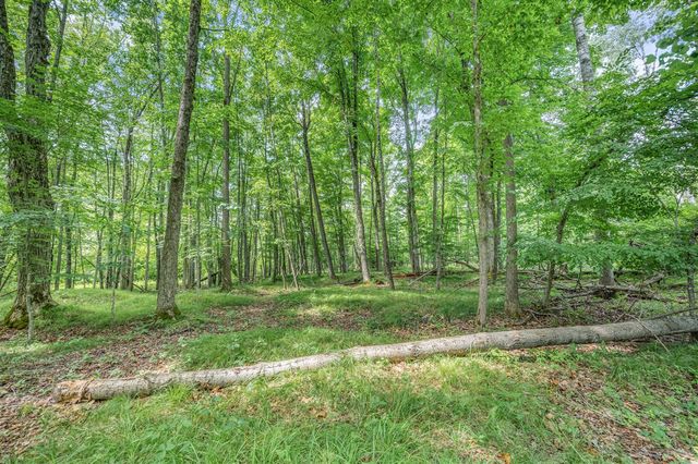 8558 Monterey Dr, Evart, MI 49631