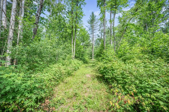 8558 Monterey Dr, Evart, MI 49631