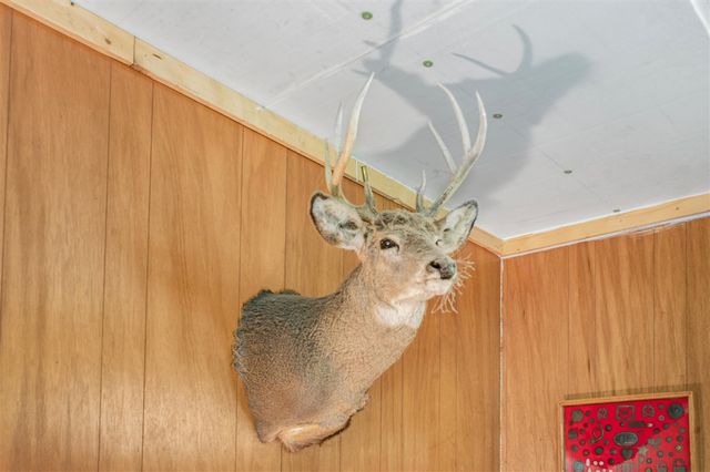 8558 Monterey Dr, Evart, MI 49631