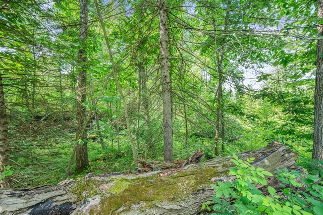 8558 Monterey Dr, Evart, MI 49631