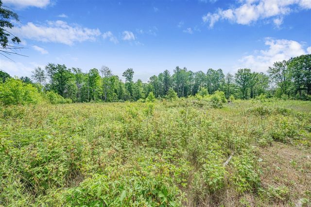 8558 Monterey Dr, Evart, MI 49631