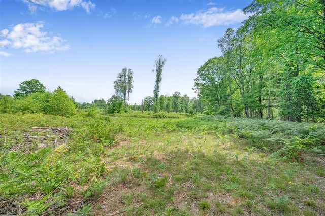 8558 Monterey Dr, Evart, MI 49631