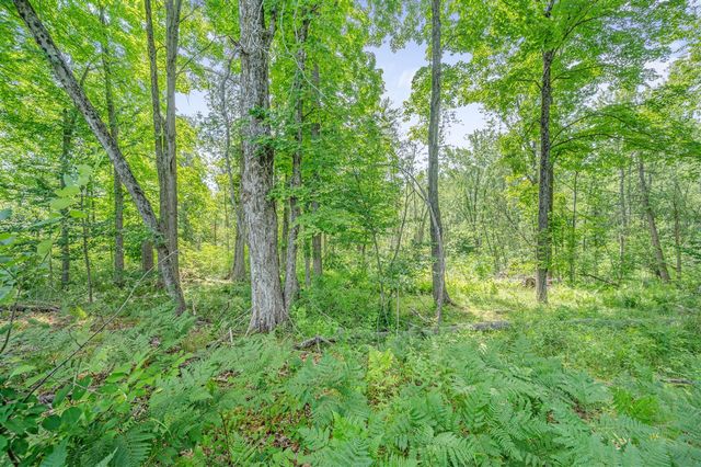 8558 Monterey Dr, Evart, MI 49631