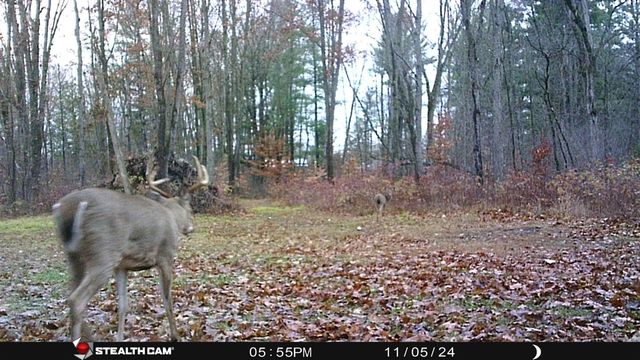 8558 Monterey Dr, Evart, MI 49631