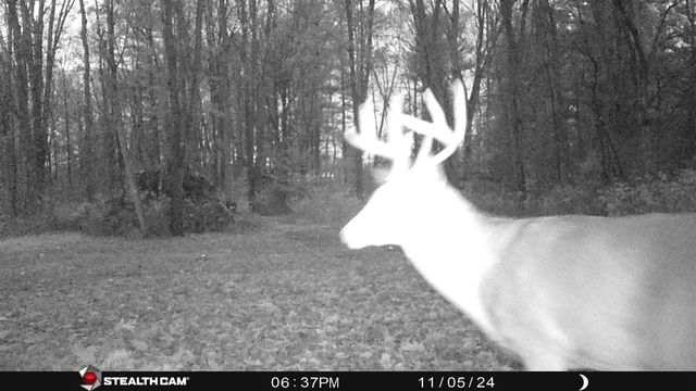 8558 Monterey Dr, Evart, MI 49631