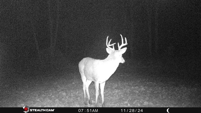 8558 Monterey Dr, Evart, MI 49631