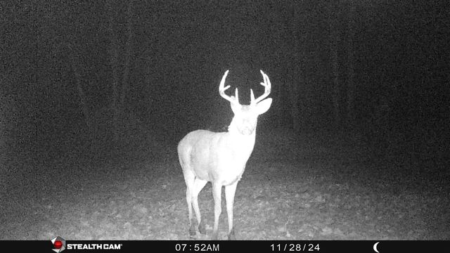 8558 Monterey Dr, Evart, MI 49631