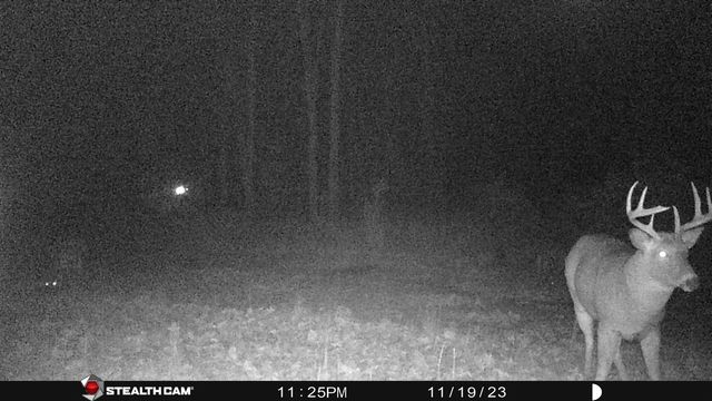 8558 Monterey Dr, Evart, MI 49631