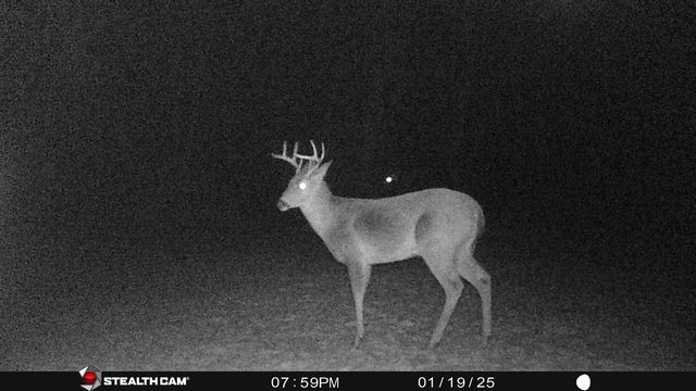 8558 Monterey Dr, Evart, MI 49631