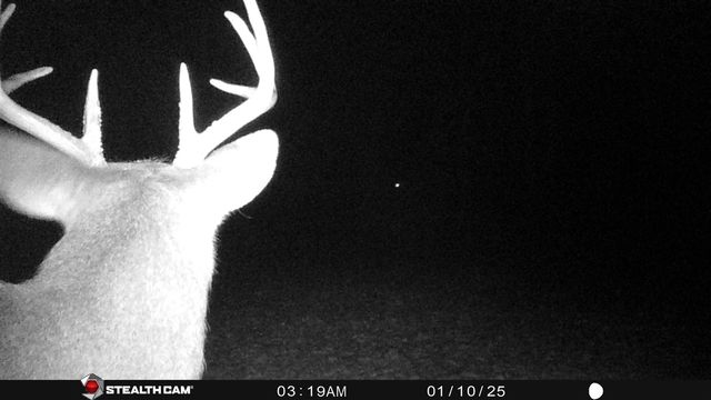 8558 Monterey Dr, Evart, MI 49631