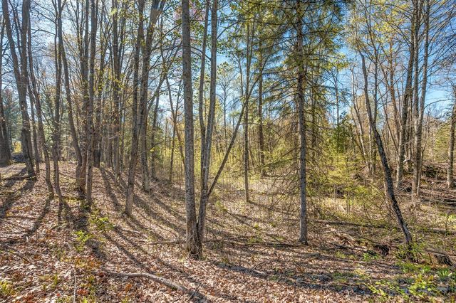 8558 Monterey Dr, Evart, MI 49631