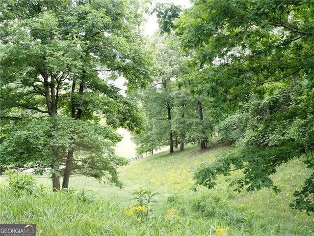 619 Hamp Mill Road, Dahlonega, GA 30533