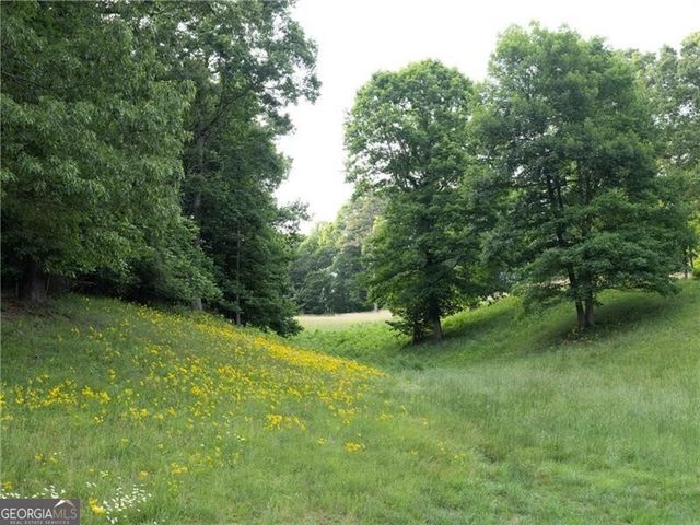 619 Hamp Mill Road, Dahlonega, GA 30533