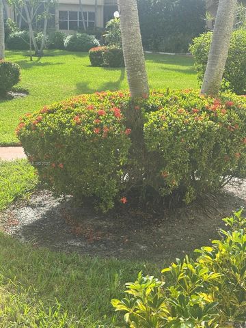 1350 Atlantic Shores Blvd 305, Hallandale Beach, FL 33009