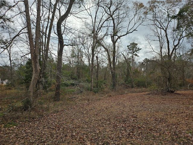 22647 Kelly Drive, Saratoga, TX 77585