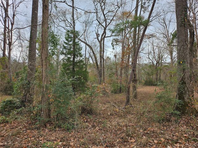22647 Kelly Drive, Saratoga, TX 77585