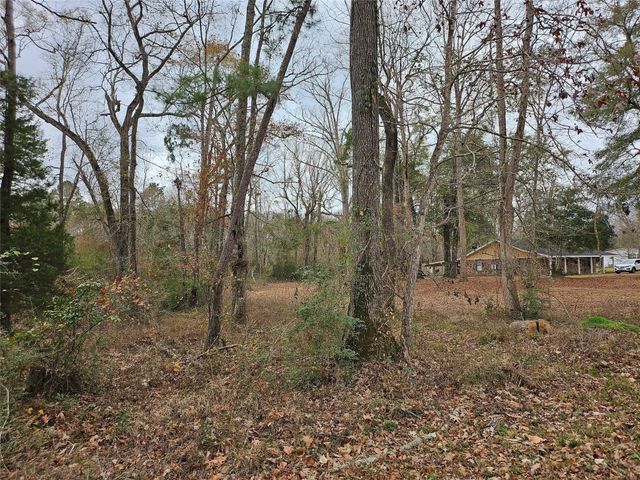 22647 Kelly Drive, Saratoga, TX 77585
