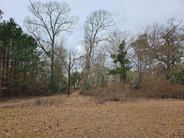 22647 Kelly Drive, Saratoga, TX 77585