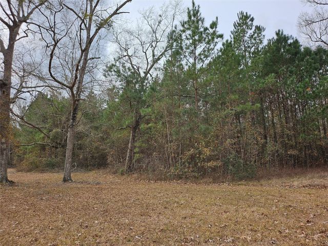 22647 Kelly Drive, Saratoga, TX 77585