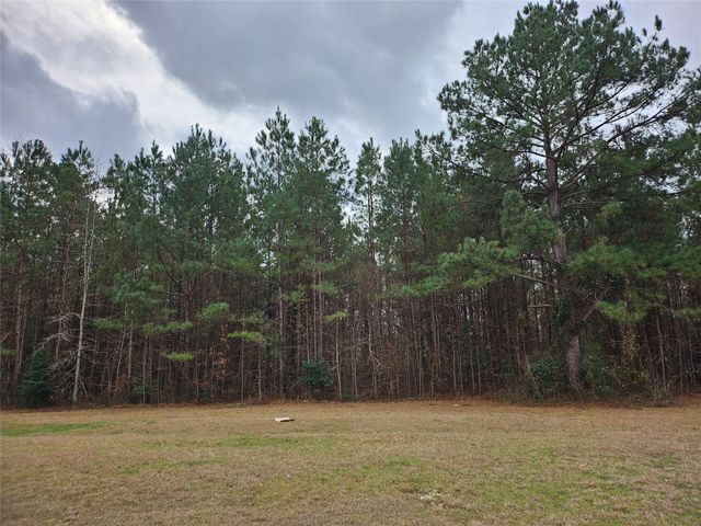 22647 Kelly Drive, Saratoga, TX 77585