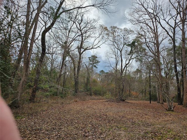 22647 Kelly Drive, Saratoga, TX 77585