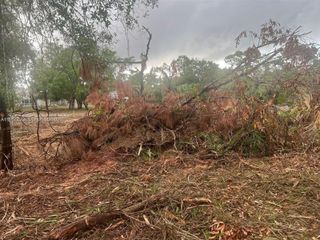 17 Rosevelt Ave, Lehigh Acres, FL 33936