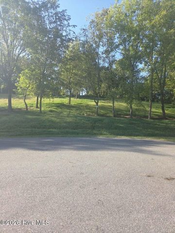 Lt 23 Mcglamery Farm Drive, Hayesville, NC 28904