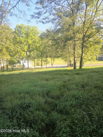 Lt 23 Mcglamery Farm Drive, Hayesville, NC 28904