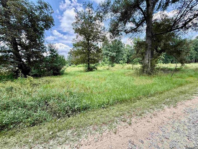 36301 Ruby Moore Rd, Denham Springs, LA 70706