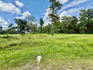 36301 Ruby Moore Rd, Denham Springs, LA 70706