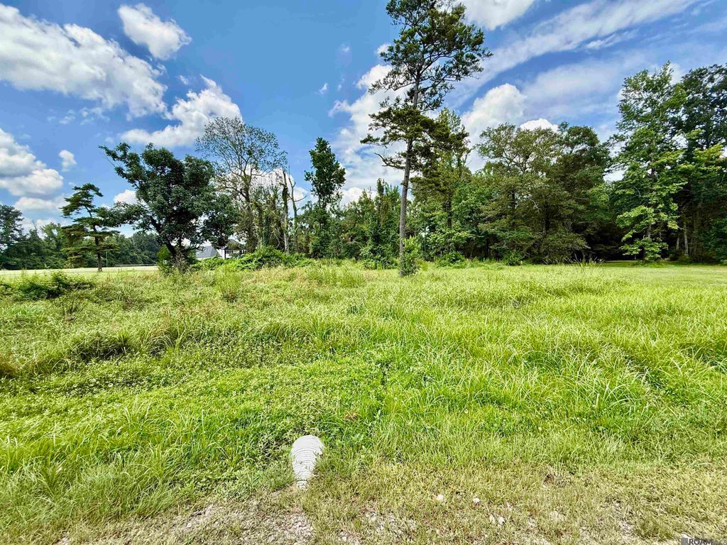 36301 Ruby Moore Rd, Denham Springs, LA 70706