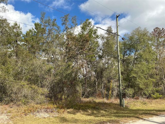 lot 8 FISHER TRACE, Ocklawaha, FL 32179