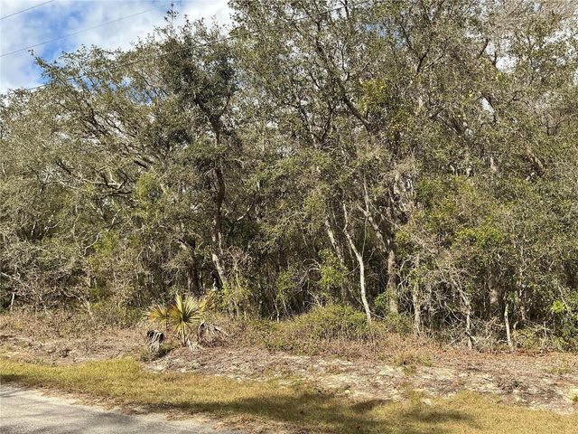 lot 8 FISHER TRACE, Ocklawaha, FL 32179